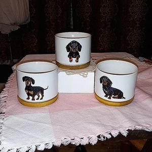 Three dachshund ceramic plant holders with wooden base